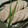 Cookingmam's cooksnap of when they made 塩麹でしっとりむね肉の蒸し鶏.
