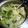 季節外れ's cooksnap of when they made さつまいもの豚汁.