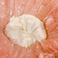 ●ゆゆゆ●'s cooksnap of when they made カレー用・デザート用チーズ　パニール.