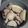 ayuy110's cooksnap of when they made さつまいものミルク煮.
