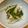 テラスタジオ's cooksnap of when they made ◎ ゴーヤと玉ねぎの和風サラダ ◎.
