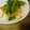 なっちズム's cooksnap of when they made 小松菜ときのこの醤油マスタード炒め☆.