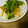 なっちズム's cooksnap of when they made 小松菜ときのこの醤油マスタード炒め☆.