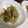 myukitty's cooksnap of when they made 塩麹で♪ふんわり豆腐ときのこ.