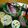 yuki808's cooksnap of when they made みょうがの一口寿司.