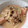 ゆゆゆゆんたん's cooksnap of when they made 鮭＆しめじ♪コク旨クリームソース煮✿.