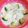 さやあ☆'s cooksnap of when they made ルクエでミルクチーズリゾット♡１人飯.