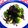 シャンプーハット's cooksnap of when they made Жひじきとブロッコリーのコショウ炒めЖ.