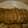 フィイ's cooksnap of when they made 豚ヒレ肉のオーブン焼き　柚子胡椒の漬け汁.