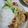 わかポン☆'s cooksnap of when they made 裏技　子供が喜ぶ豚ロース肉の柔らかソテー.