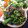 tomokoshiawase's cooksnap of when they made 磯の香りふぁ～.+ﾟほうれん草の海苔和え.
