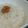 めかにか's cooksnap of when they made すっぱうまい！梅粥.