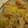 sinabon's cooksnap of when they made キノコとさつまいもご飯.