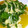 　まいこ　's cooksnap of when they made ★ほうれん草とえのきのソテー★.