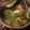アクセル☆'s cooksnap of when they made 豆苗と海老のスープ.