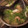 アクセル☆'s cooksnap of when they made 豆苗と海老のスープ.