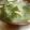 BibittO4's cooksnap of when they made 簡単♪卵スープ.