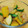 鈴ピヨ's cooksnap of when they made 冬瓜とズッキーニと豚肉のササッと炒め.