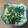 yukki1001's cooksnap of when they made ☼鶏皮とニラのにんにく味噌炒め.