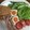 サーフブレイド's cooksnap of when they made 簡単！　半熟味付け煮玉子♪.