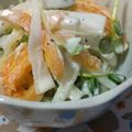 ☆ちゃん☆'s cooksnap of when they made 柿と大根のサラダ.