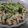 kaihatu's cooksnap of when they made あと一品！きゅうりと胸肉の中華サラダ♪.