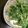 ゆずるてぃ's cooksnap of when they made 水菜の玉子とじ♪.