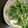 ゆずるてぃ's cooksnap of when they made 水菜の玉子とじ♪.