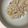 NullPoint's cooksnap of when they made 超簡単・超特急♪もやしのナムル風.