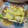 しょこたんママ's cooksnap of when they made ☆簡単！里芋の皮つるりん☆.