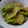 ぱぴぷぺぽち's cooksnap of when they made おつまみ☆うまいじゃがいもとそら豆炒め☆.