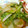 いそべちっちー's cooksnap of when they made 白菜とイカのキムチの素炒め.