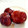 senna0321's cooksnap of when they made 栗の渋皮煮.