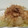 ヒロミ0517's cooksnap of when they made 柚子なしでゆず風味白菜漬け.