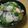 hiyoteru's cooksnap of when they made 定番☆あんかけ焼そば.
