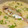 papikun's cooksnap of when they made ●お母さんの鯛めし●.