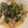 ほのぼのいっこ's cooksnap of when they made 蒸し豚肉と白菜.
