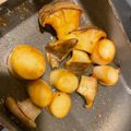 merciです's cooksnap of when they made 帆立みたい！エリンギのバター醤油炒め.