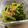 さちaro's cooksnap of when they made 小松菜の鮭フレーク炒め：お弁当野菜おかず.