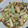 39J's cooksnap of when they made 白菜とうす揚げの煮物甘め♪.