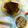 むうむー's cooksnap of when they made ダイエットなんちゃってうなぎ？丼.