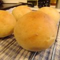 LazyHata's cooksnap of when they made 約35分炊飯器で1次発酵(≧ー≦).