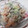 マリア。's cooksnap of when they made 柿ときゅうりのサラダ.