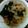 単！！'s cooksnap of when they made ＊ﾂﾅと大根おろしのﾊﾟｽﾀ＊.