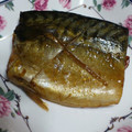 リトルERI's cooksnap of when they made 絶対失敗しない★さば煮.