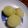 wyka's cooksnap of when they made まるごとブドウシャーベット☆.