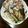 たまごとみかん's cooksnap of when they made ナスとベーコン☆ときどき白だし♪.
