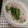 はーとの1's cooksnap of when they made かぶと豚肉のしょうがスープ.