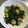 mi_co22's cooksnap of when they made 麩と春菊の甘辛煮。.