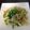 たまごろう's cooksnap of when they made 大根とボイルホタテのピリ辛炒め♪.